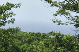 Residential Lot for Sale in Runaway Bay