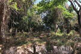 Residential Lot for Sale in Runaway Bay