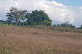 Residential Lot for Sale in Savanna-La-Mar