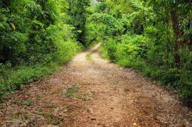 Residential Lot for Sale in Oracabessa