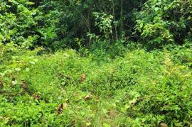 Residential Lot for Sale in Oracabessa