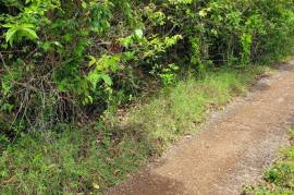 Residential Lot for Sale in Oracabessa