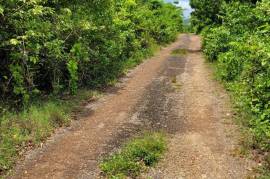 Residential Lot for Sale in Oracabessa