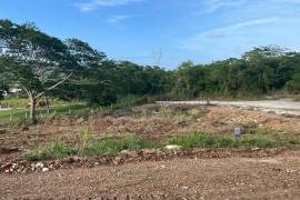 Residential Lot for Sale in Falmouth