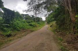 Residential Lot for Sale in Runaway Bay