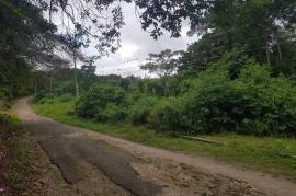 Residential Lot for Sale in Runaway Bay