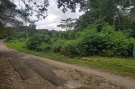 Residential Lot for Sale in Runaway Bay