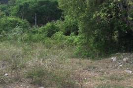 Residential Lot for Sale in Oracabessa