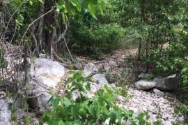 Residential Lot for Sale in Oracabessa