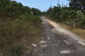 Residential Lot for Sale in Oracabessa