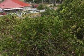 Residential Lot for Sale in Oracabessa