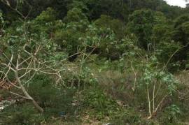 Residential Lot for Sale in Oracabessa