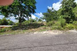 Residential Lot for Sale in Mandeville