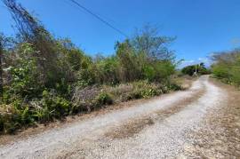 Residential Lot for Sale in Spanish Town