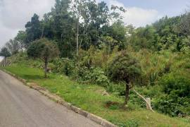 Residential Lot for Sale in Mandeville