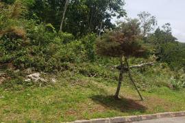 Residential Lot for Sale in Mandeville