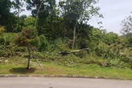 Residential Lot for Sale in Mandeville