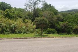 Residential Lot for Sale in Mandeville