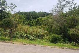 Residential Lot for Sale in Mandeville