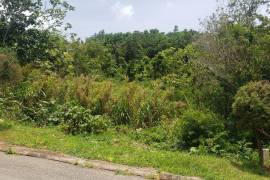 Residential Lot for Sale in Mandeville