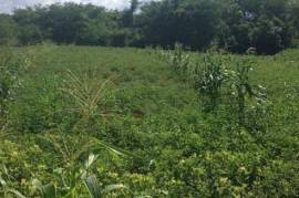 Residential Lot for Sale in Santa Cruz