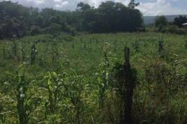 Residential Lot for Sale in Santa Cruz