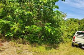 Residential Lot for Sale in Oracabessa