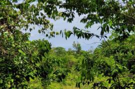 Residential Lot for Sale in Oracabessa