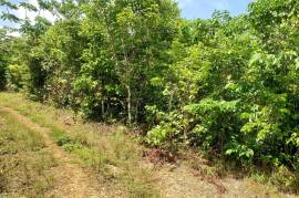 Residential Lot for Sale in Oracabessa