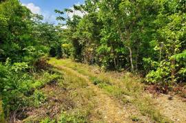 Residential Lot for Sale in Oracabessa