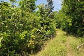 Residential Lot for Sale in Oracabessa