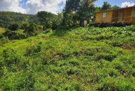 Residential Lot for Sale in Lime Hall