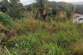 Residential Lot for Sale in Mandeville