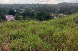 Residential Lot for Sale in Mandeville