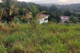 Residential Lot for Sale in Mandeville