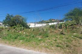 Residential Lot for Sale in Mandeville