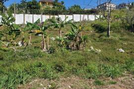 Residential Lot for Sale in Mandeville