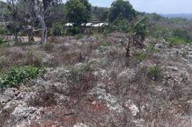 Residential Lot for Sale in Retreat