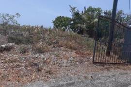 Residential Lot for Sale in Retreat