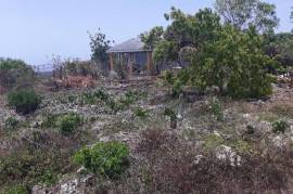 Residential Lot for Sale in Retreat