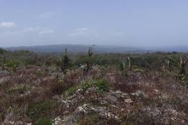 Residential Lot for Sale in Retreat