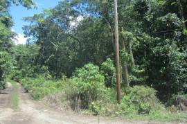 Residential Lot for Sale in Red Hills