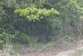 Residential Lot for Sale in Red Hills