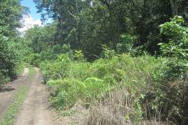 Residential Lot for Sale in Red Hills