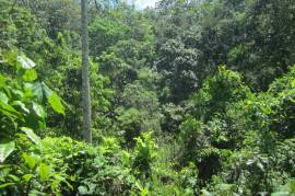 Residential Lot for Sale in Red Hills