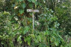 Residential Lot for Sale in Red Hills