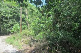 Residential Lot for Sale in Red Hills