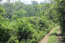 Residential Lot for Sale in Red Hills