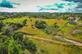 Residential Lot for Sale in Mandeville