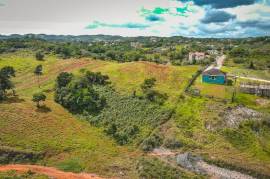 Residential Lot for Sale in Mandeville